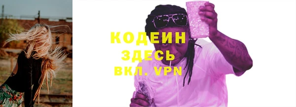 индика Нефтегорск