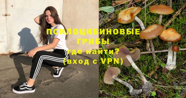 индика Нефтегорск