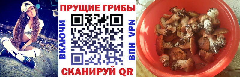 Галлюциногенные грибы мухоморы  Пучеж 